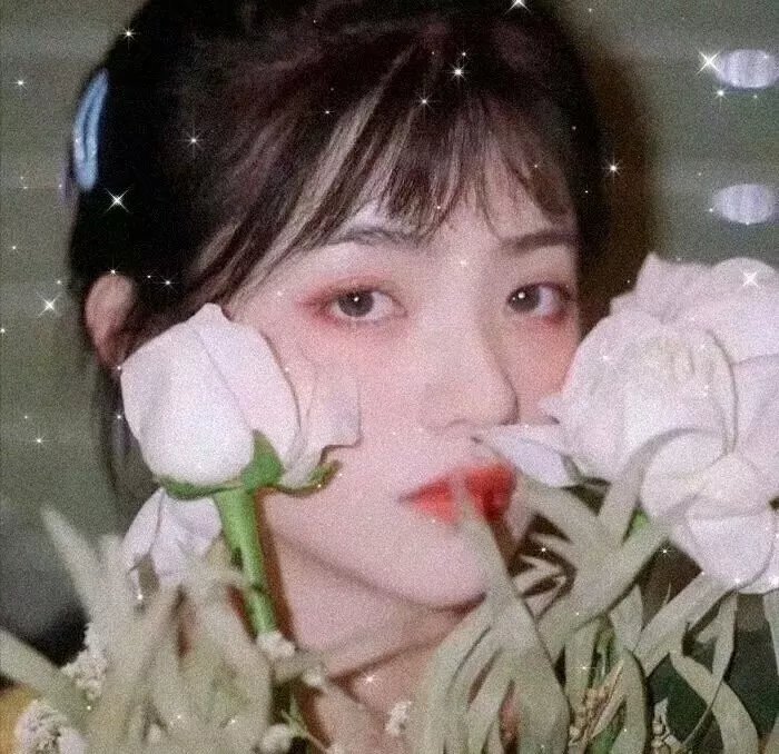 炽火连心